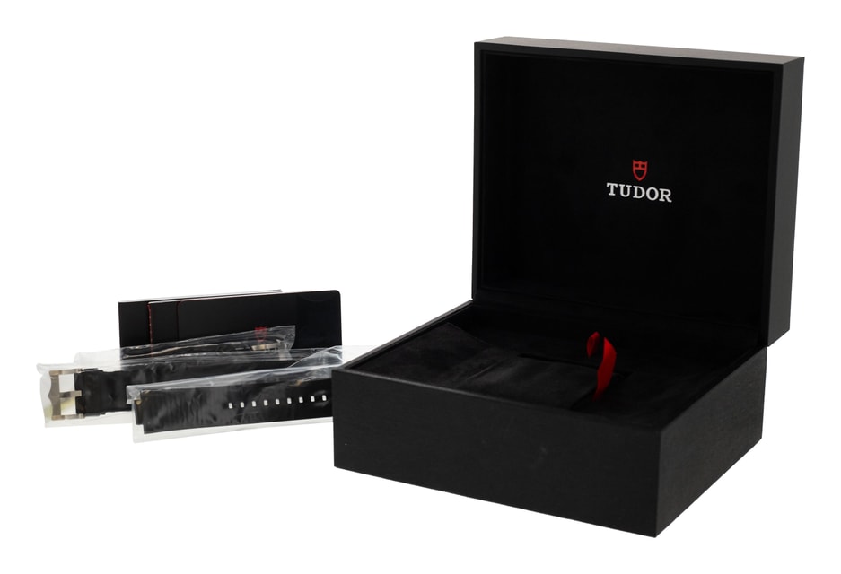 Tudor Pelagos M25610TNL-0001 Image 4